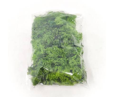 Verde Moss - Vegetali, Ghiaia, Pietrisco