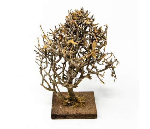  H 16 cm - Scenografia Presepe, Vegetazione, Alberi Presepe