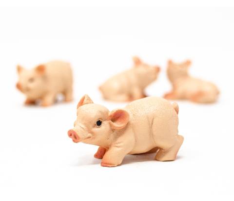 Porcellino - Animali in plastica