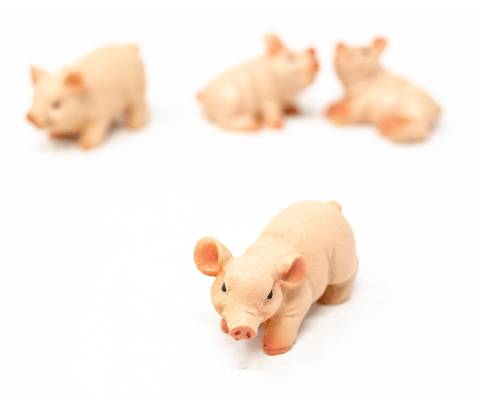  Porcellino - Animali in plastica