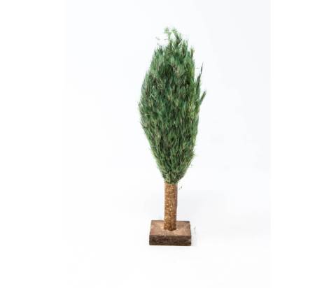 Altezza 20 cm - Alberi Presepe