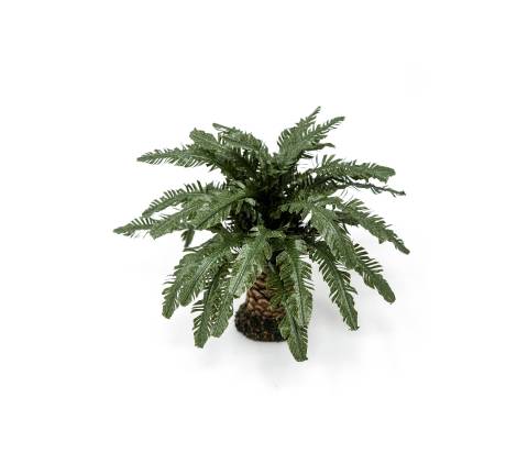  h 7 cm - Alberi Presepe