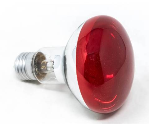  Rosso - Lampade e Spot