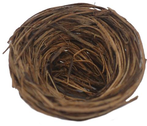 Ø 3,0 - h 1,0 cm - Animali Piumati