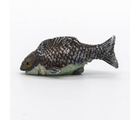 Pesce Colorato
