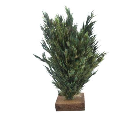  H 15 cm - Alberi Presepe