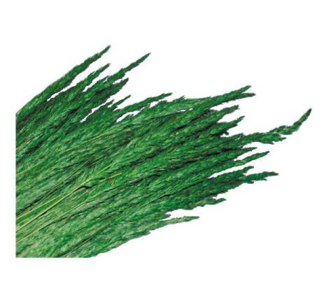 K114 - Vegetali, Ghiaia, Pietrisco