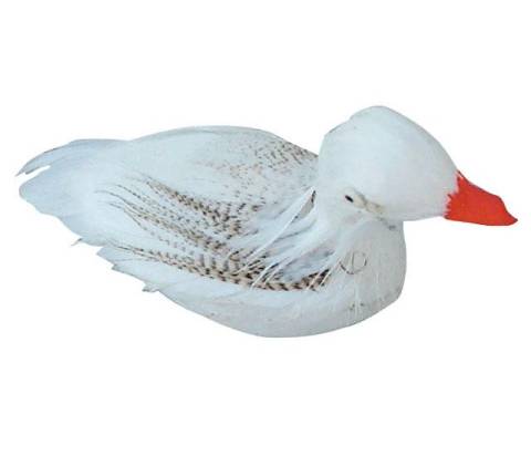 Altezza: 3,0 cm - Animali Piumati