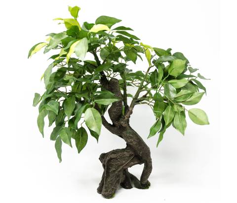 Albero h 38 cm - Scenografia Presepe, Alberi Presepe