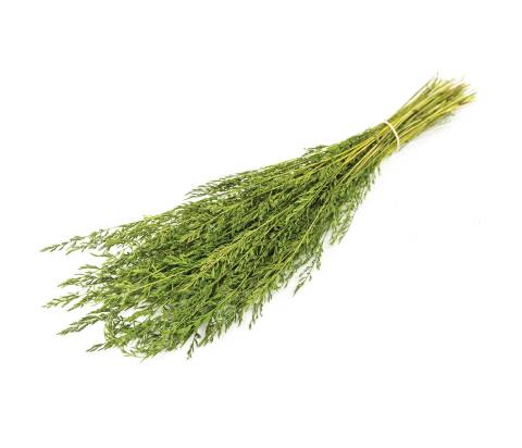 K115 - Vegetali, Ghiaia, Pietrisco