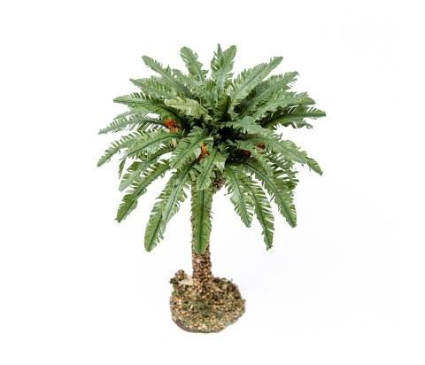  h 9 cm - Alberi Presepe