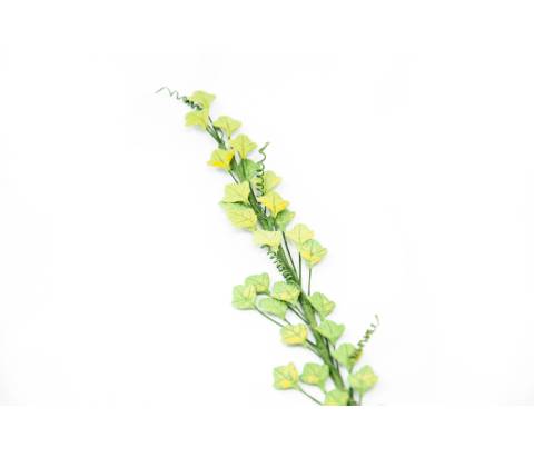  verde chiaro -
