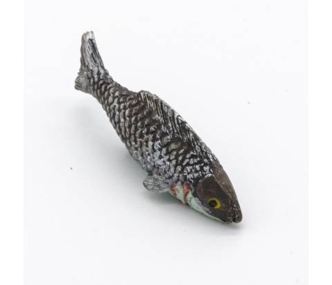 Pesce Colorato