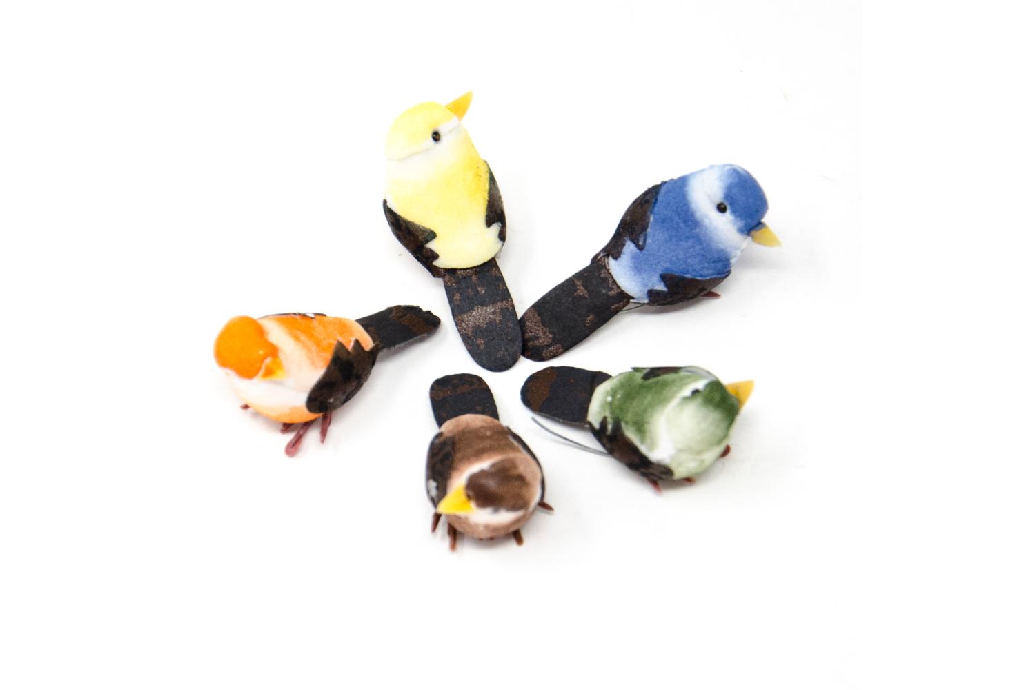 V2C - Animali Piumati Uccellini colorati - Animali Piumati