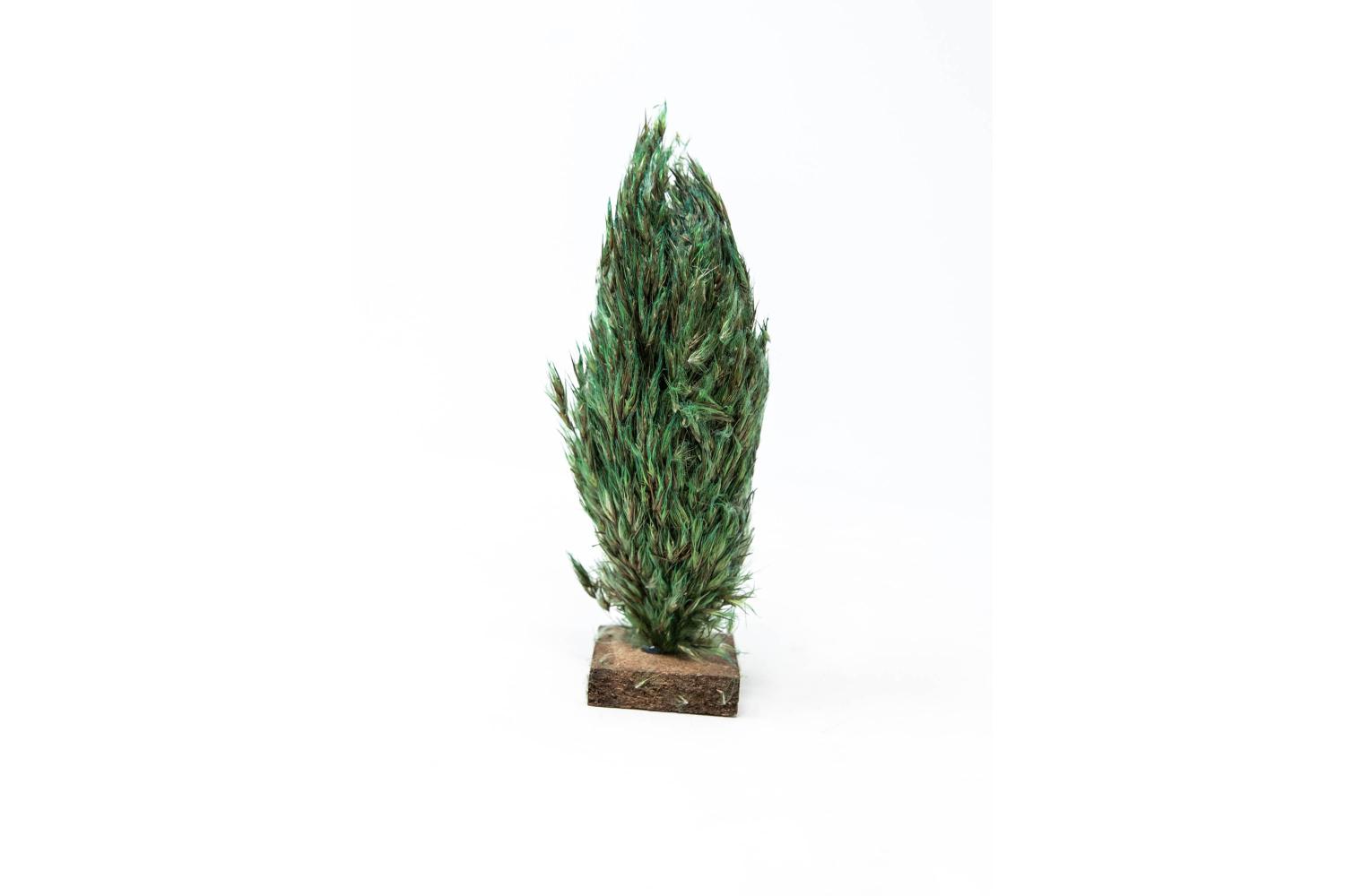 H 15 cm - Alberi Presepe