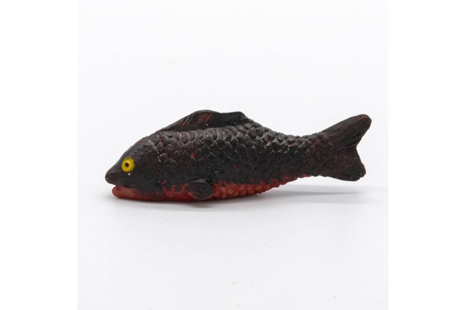 Pesce Colorato