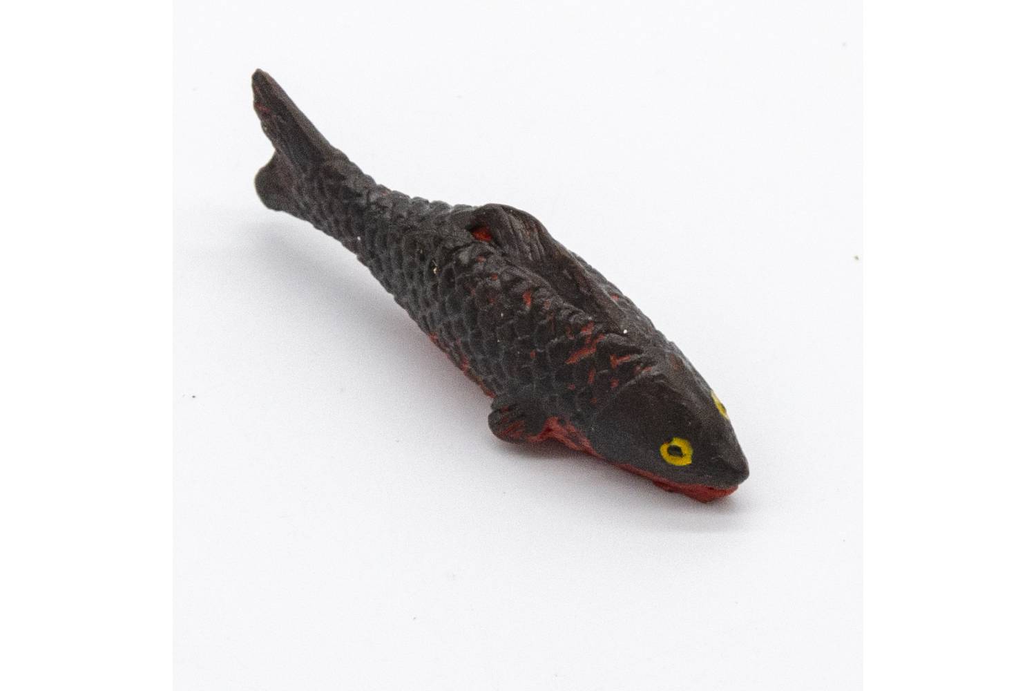 Pesce Colorato