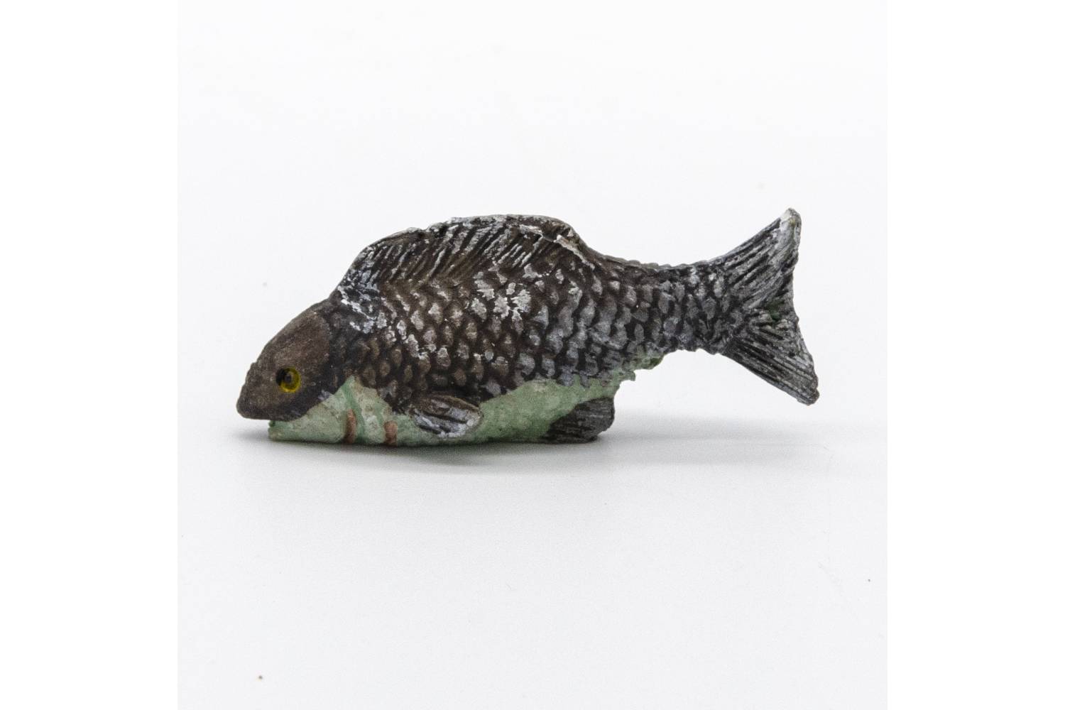Pesce Colorato