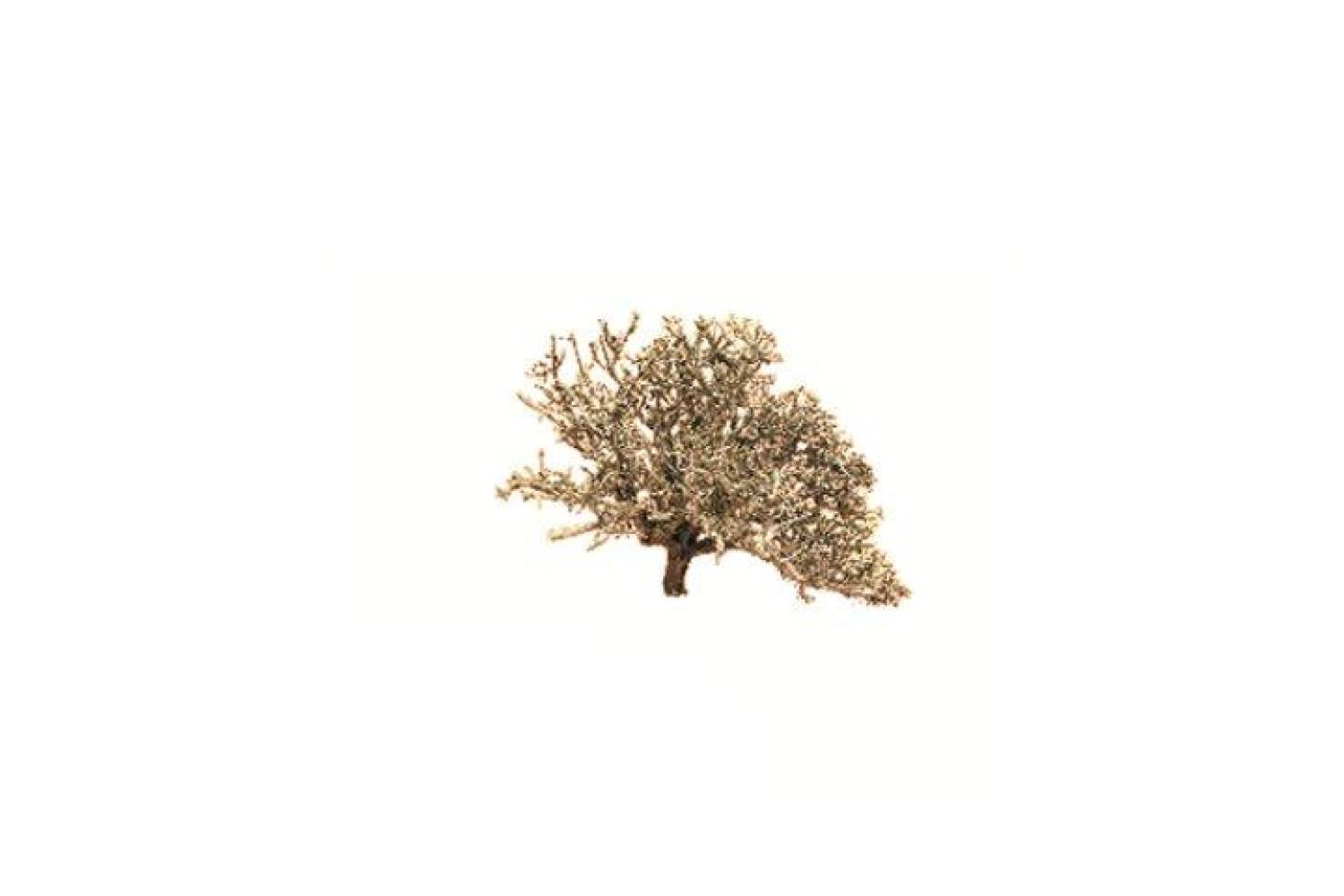 ALS10 - Alberi Presepe