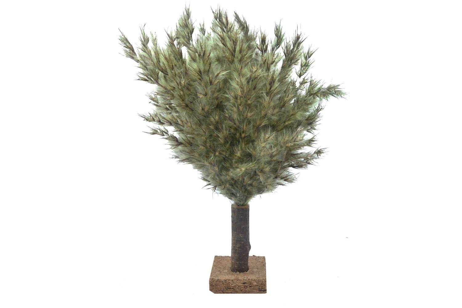  Altezza 20 cm - Alberi Presepe