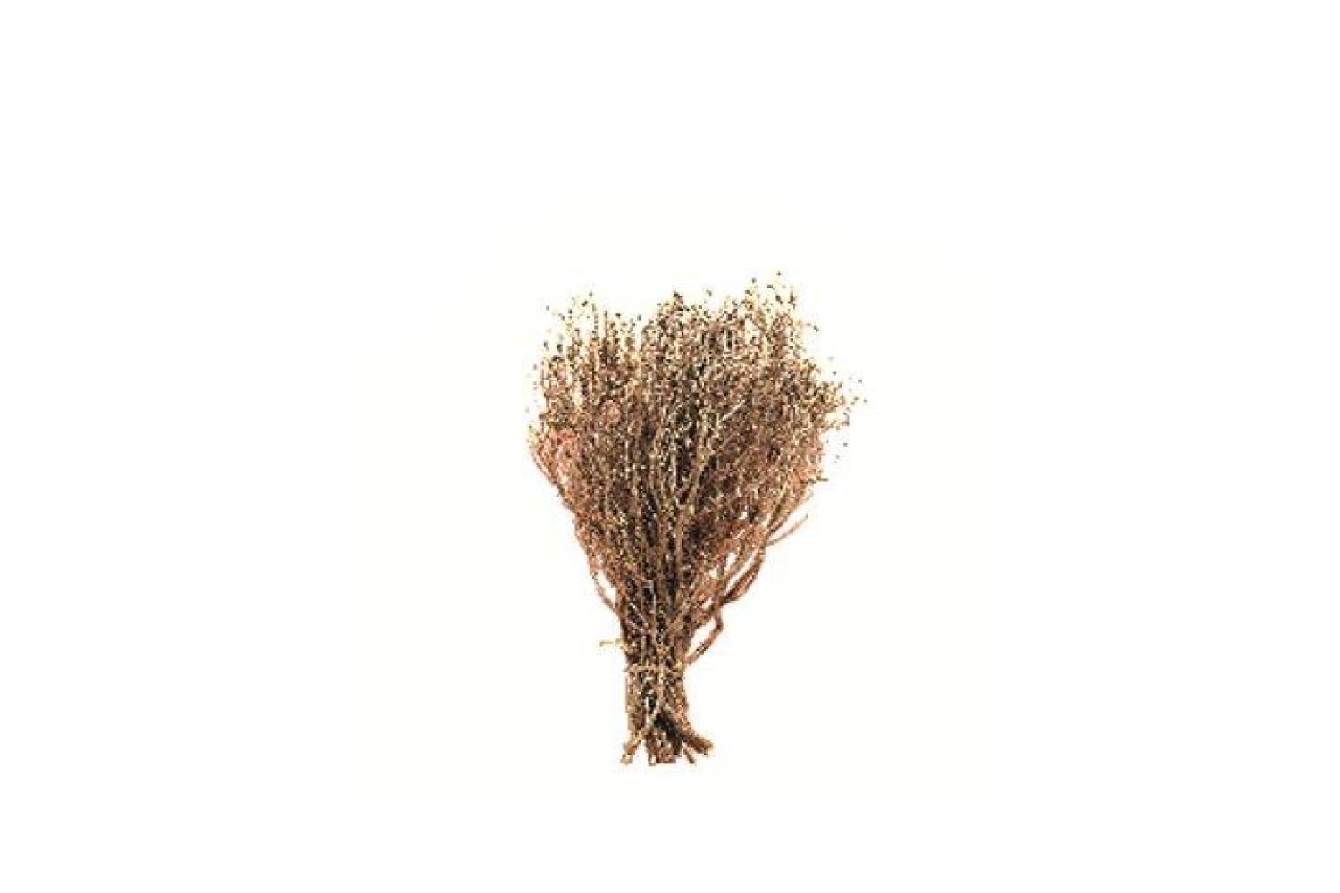 ALS35 - Alberi Presepe