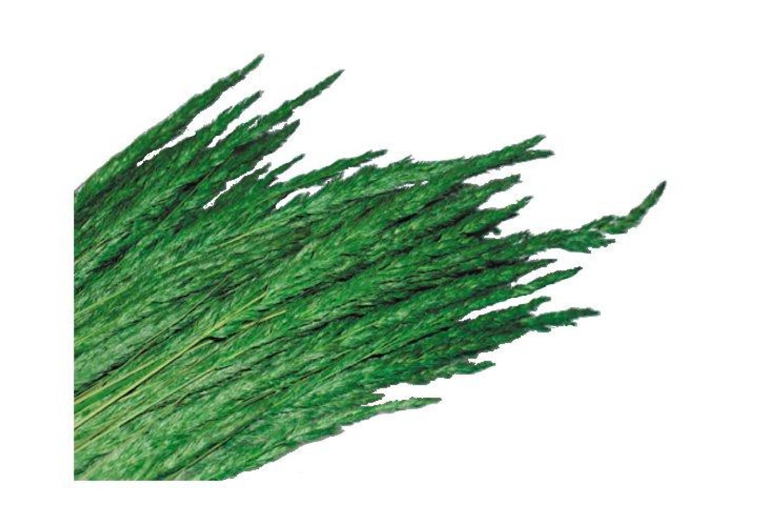 K114 - Vegetali, Ghiaia, Pietrisco