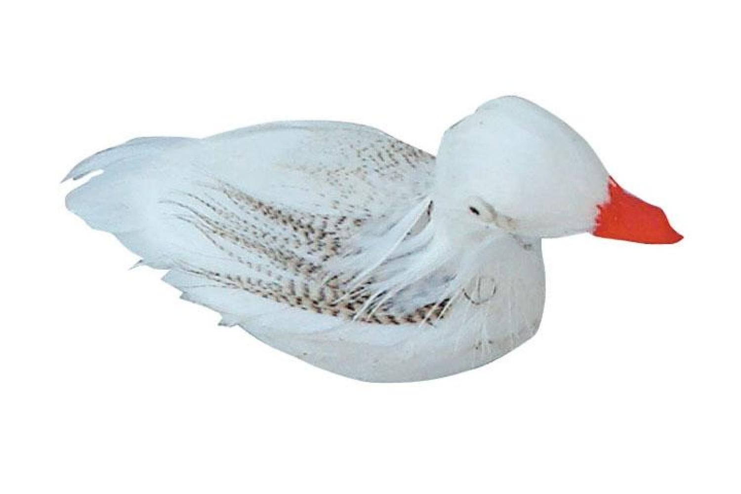Altezza: 3,0 cm - Animali Piumati