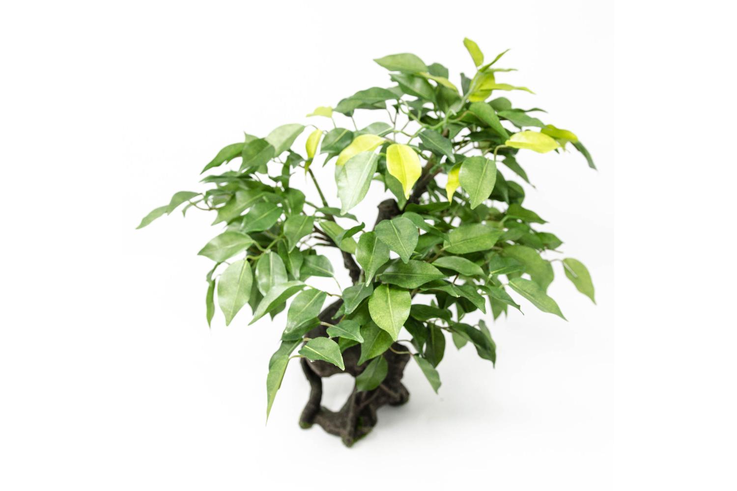 Albero h 38 cm - Scenografia Presepe, Alberi Presepe