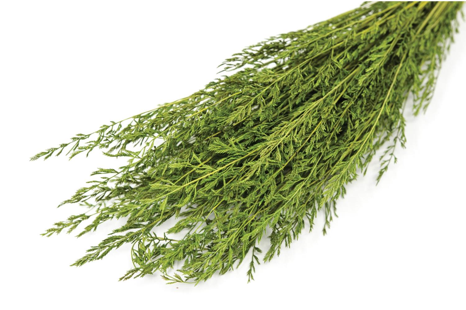 K115 - Vegetali, Ghiaia, Pietrisco