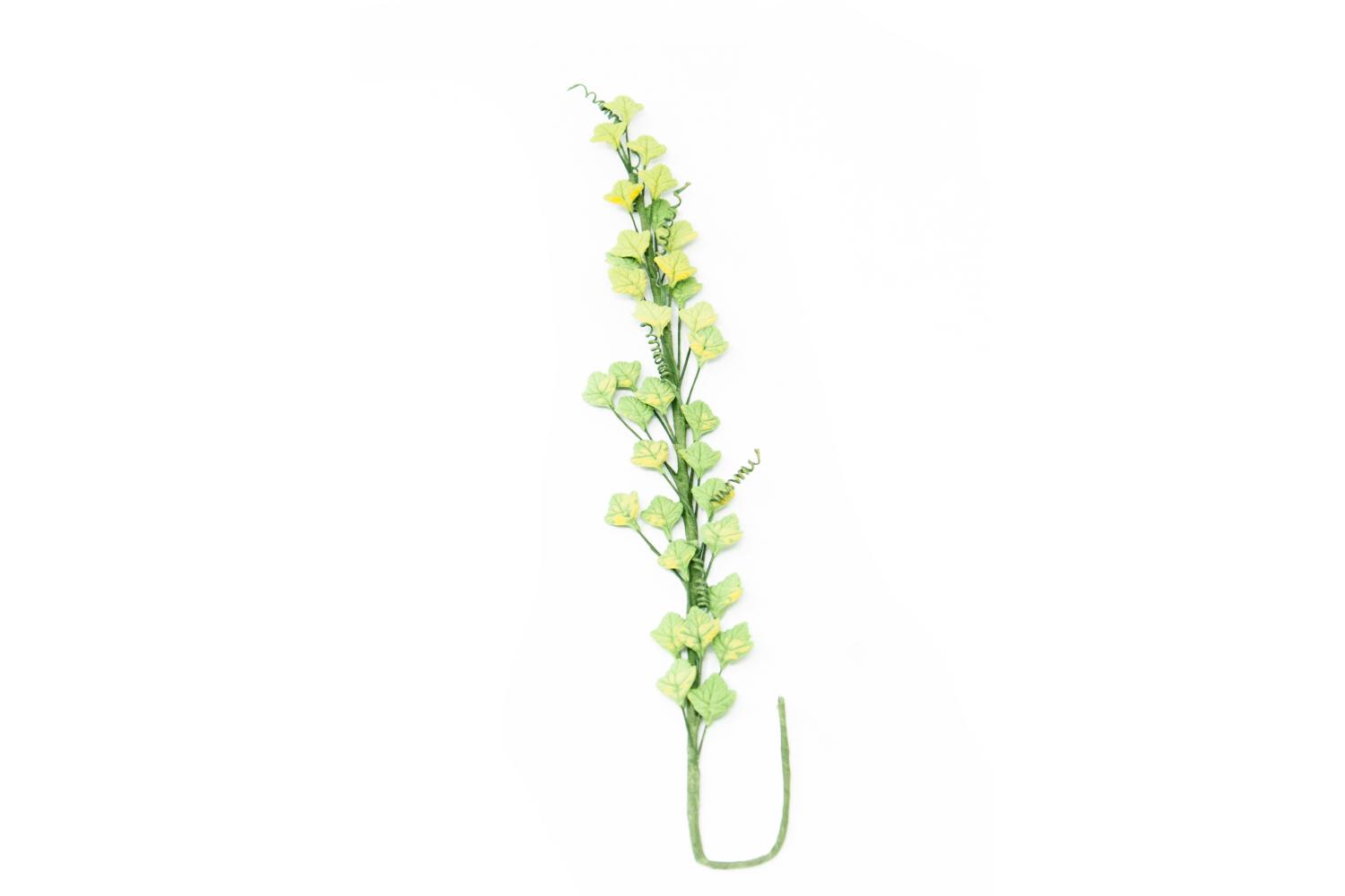 verde chiaro -