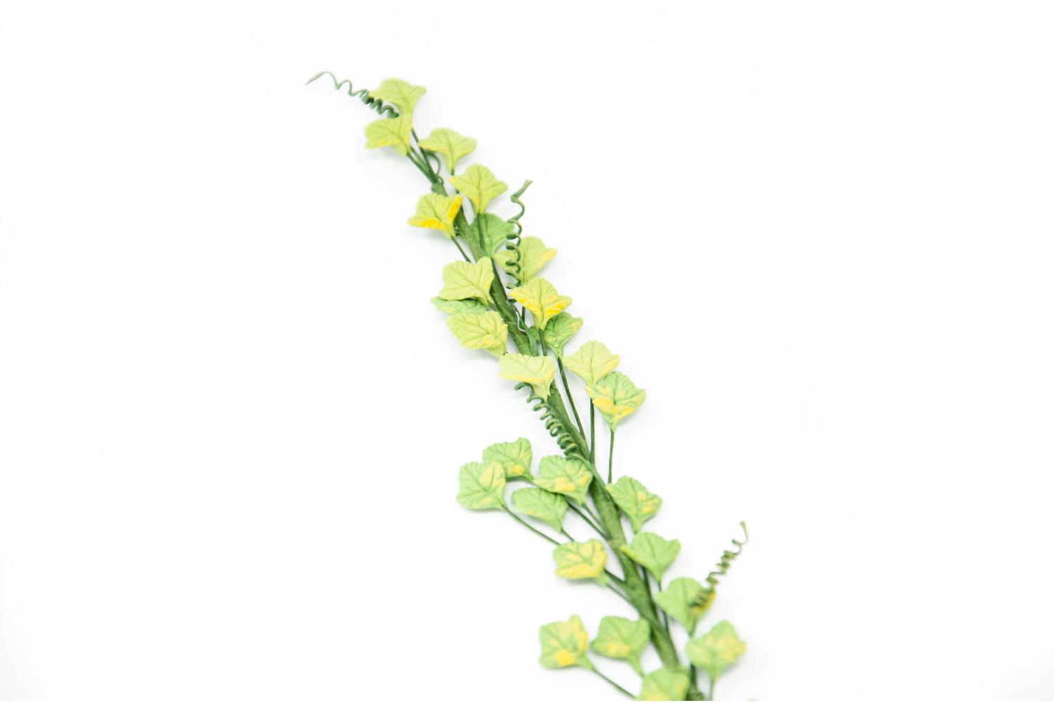 verde chiaro -