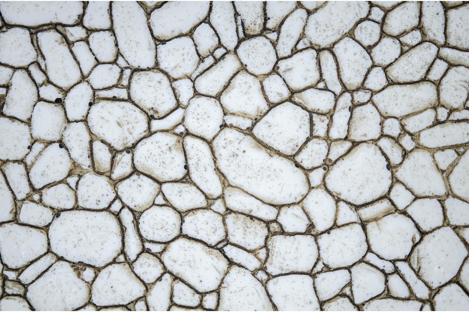 Lastricato Modulare - Pareti, Lastricati, Tetti Bianco - Pareti, Lastricati, Tetti