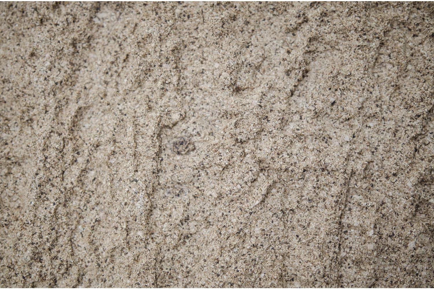 Lastra Finta Corteccia - Pareti, Lastricati, Tetti SFC - Pareti, Lastricati, Tetti