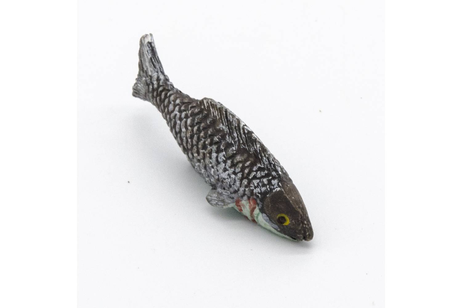 Pesce Colorato